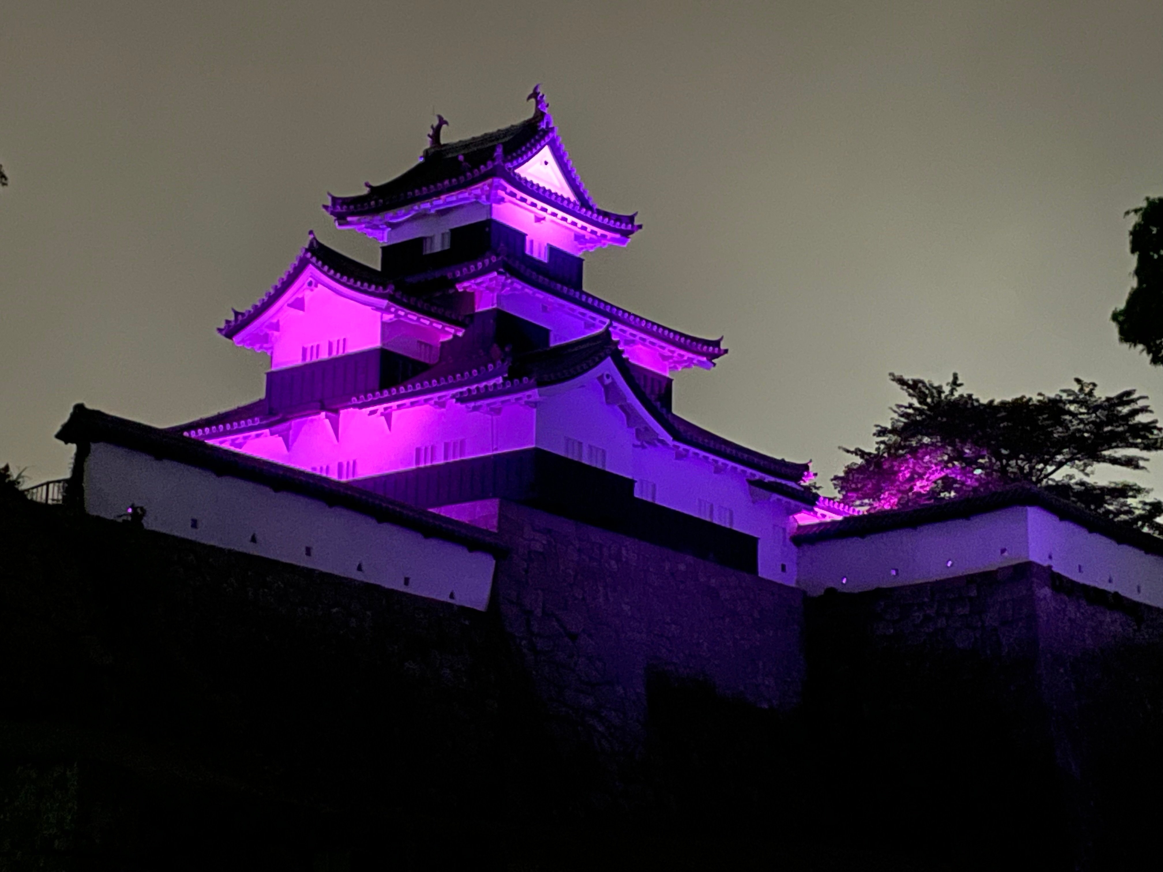 小峰城ライトアップ
