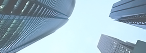 Corporate Outline