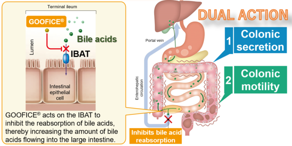 Mechanism of Action