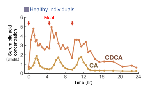Circadian variation in serum bile acid concentration by background