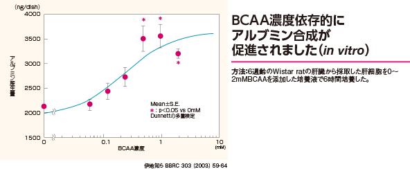 Mechanism of promotion of BCAA albumin synthesis