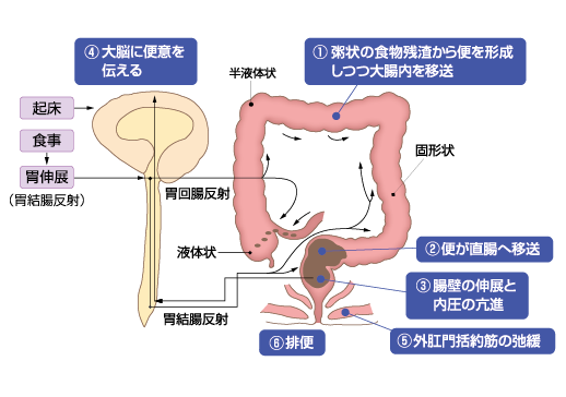 chart02_500-346_202607