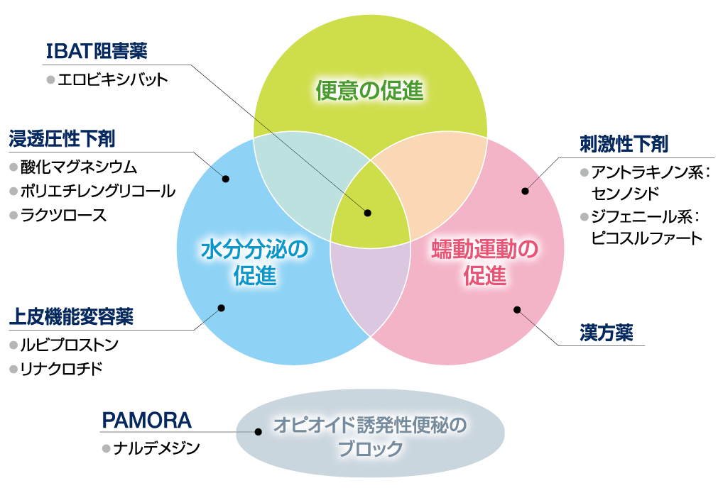 作用からみた下剤のポジショニングを示す図