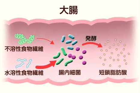 continence-care05_04