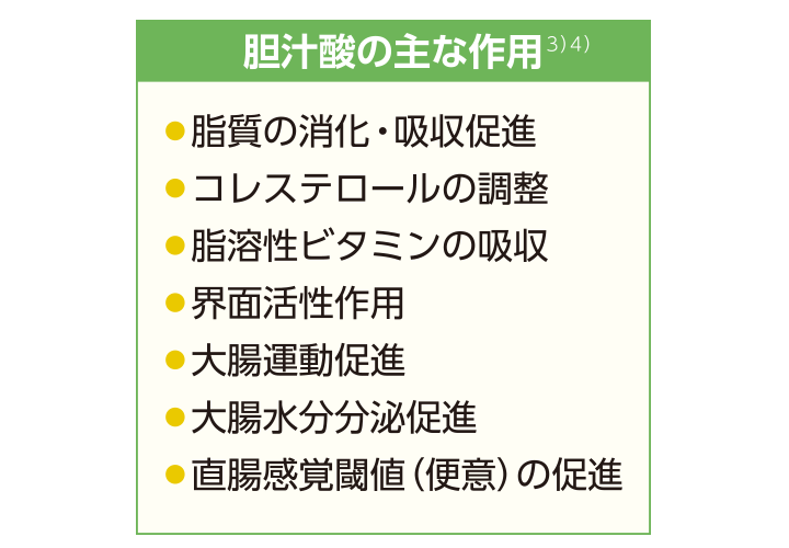 胆汁酸の主な作用（脂質の消化・吸収促進、コレステロールの調整、脂溶性ビタミンの吸収、界面活性作用、大腸運動促進、大腸水分分泌促進、直腸感覚閾値（便意）の促進）
