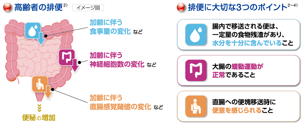 ・高齢者の排便・排便に大切な3つのポイント