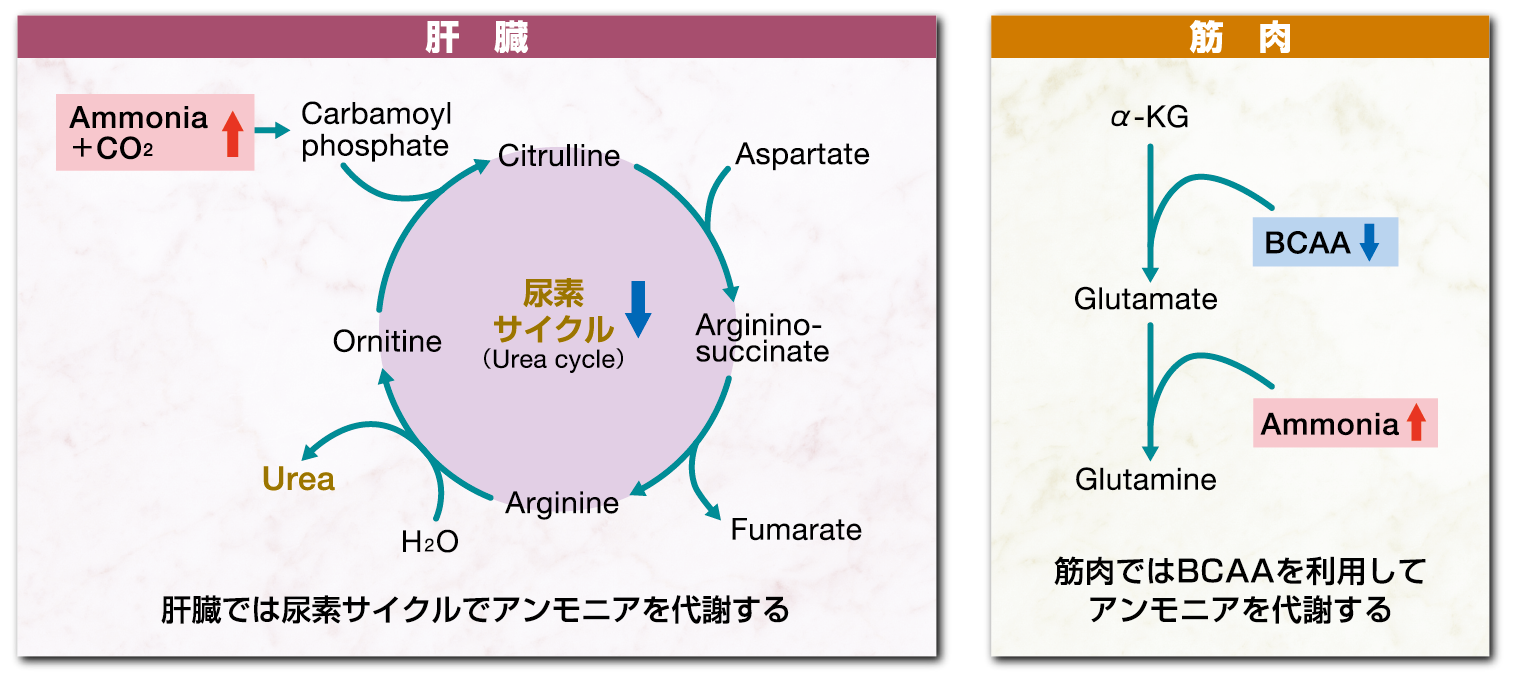 chart02_1500-665_202610