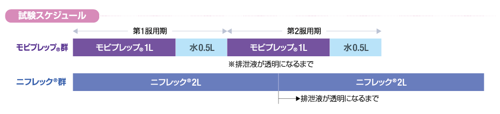 試験スケジュールを示す図